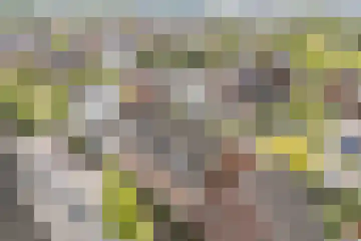 Bertus Aafjeslaan 21 De Meern thumbnail 47