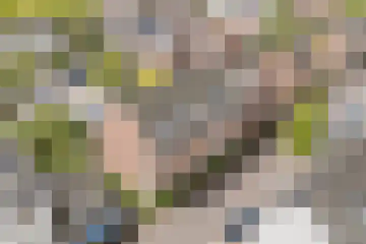 Bertus Aafjeslaan 21 De Meern thumbnail 48