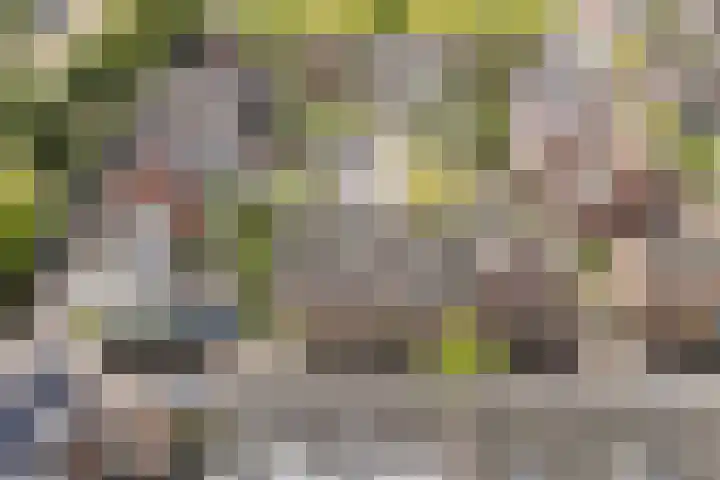 Bertus Aafjeslaan 21 De Meern thumbnail 49