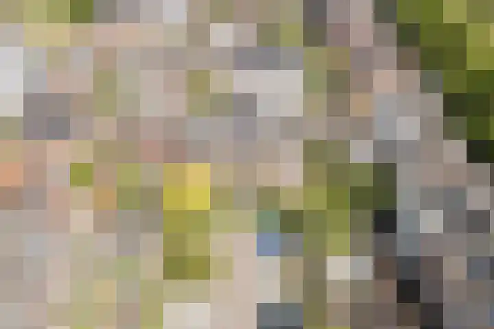 Bertus Aafjeslaan 21 De Meern thumbnail 50