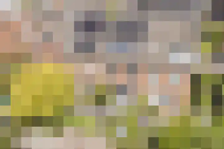 Bertus Aafjeslaan 21 De Meern thumbnail 52