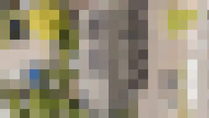 Bertus Aafjeslaan 21 De Meern thumbnail 53