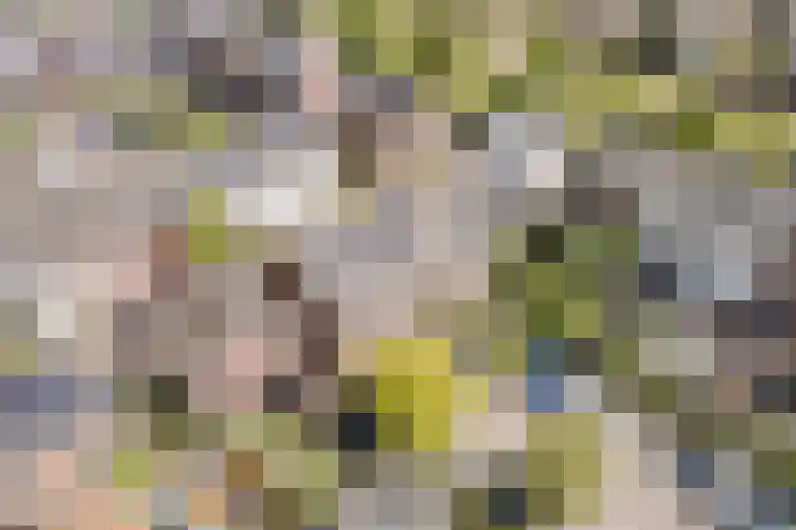 Bertus Aafjeslaan 21 De Meern thumbnail 54