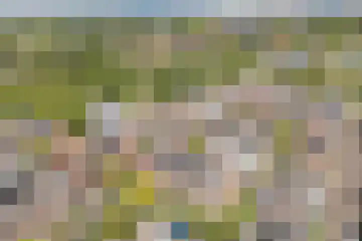 Bertus Aafjeslaan 21 De Meern thumbnail 55