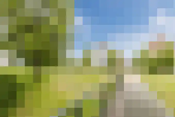 Bertus Aafjeslaan 21 De Meern thumbnail 56