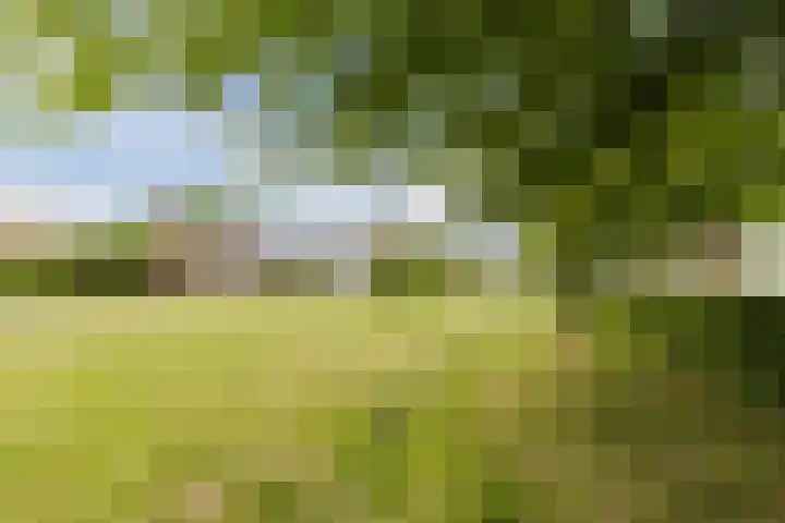 Bertus Aafjeslaan 21 De Meern thumbnail 57