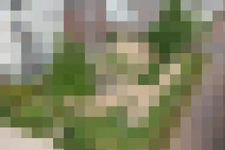 Bertus Aafjeslaan 21 De Meern thumbnail 58