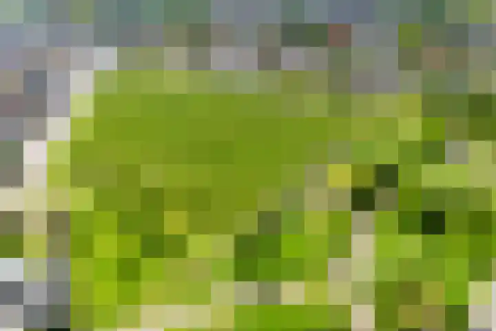 Bertus Aafjeslaan 21 De Meern thumbnail 61