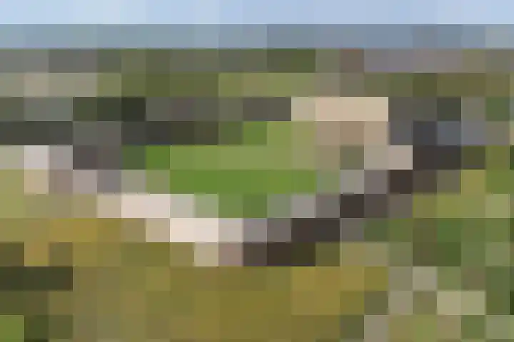 Bertus Aafjeslaan 21 De Meern thumbnail 62