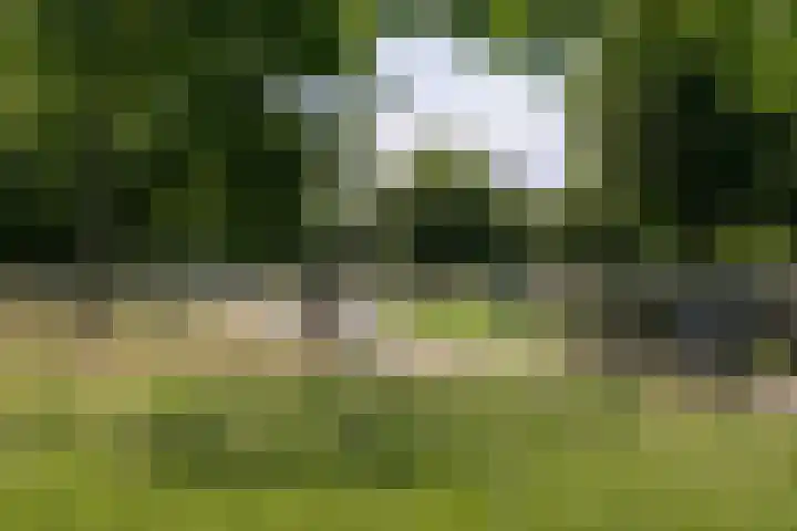 Bertus Aafjeslaan 21 De Meern thumbnail 63