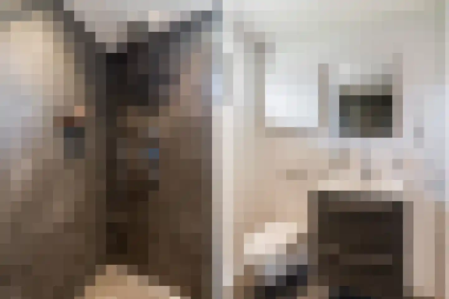 Bertus Aafjeslaan 33 Amstelveen thumbnail 18