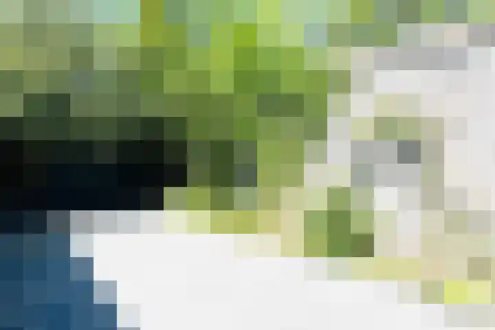 Bertus Aafjeslaan 4 Amstelveen thumbnail 20