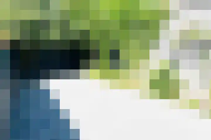 Bertus Aafjeslaan 4 Amstelveen thumbnail 23