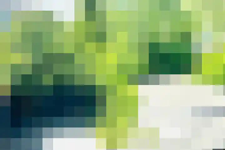 Bertus Aafjeslaan 4 Amstelveen thumbnail 32