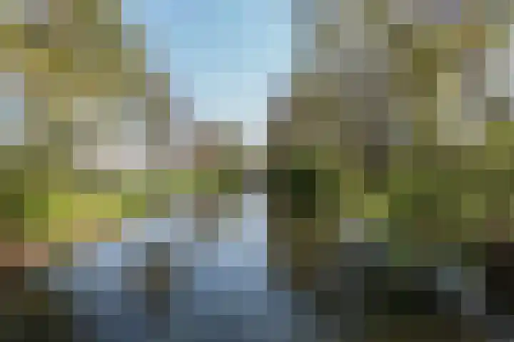 Bertus Aafjeslaan 4 Amstelveen thumbnail 49