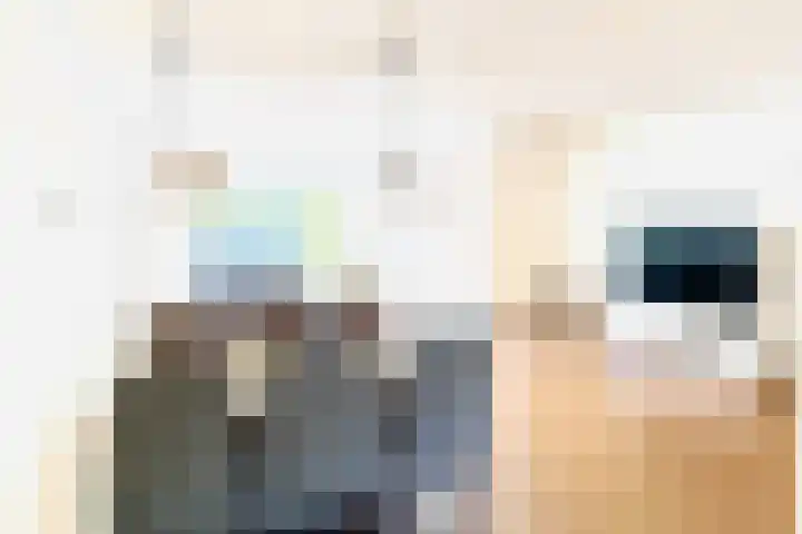 Bertus Aafjeslaan 4 Amstelveen thumbnail 9