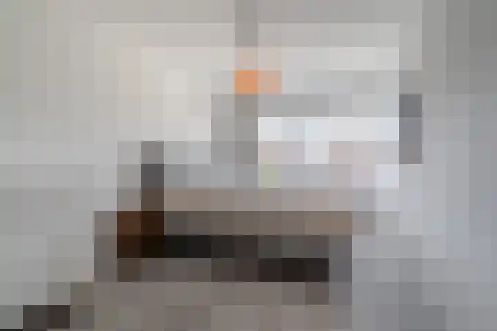 Bertus Aafjeslaan 44 Amstelveen thumbnail 22