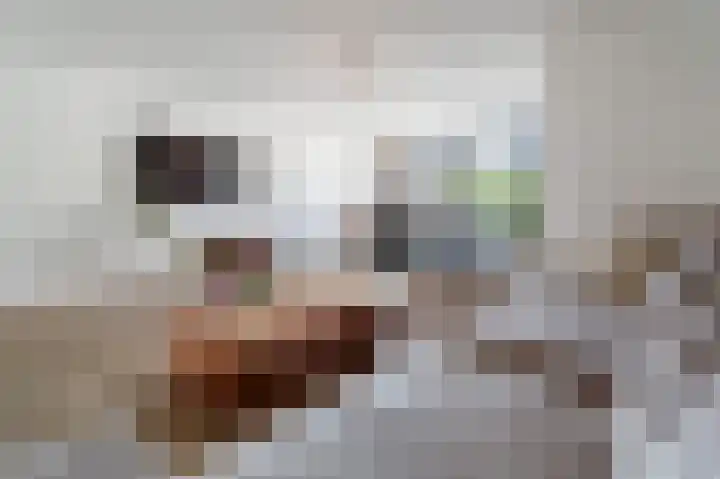 Bertus Aafjeslaan 44 Amstelveen thumbnail 6