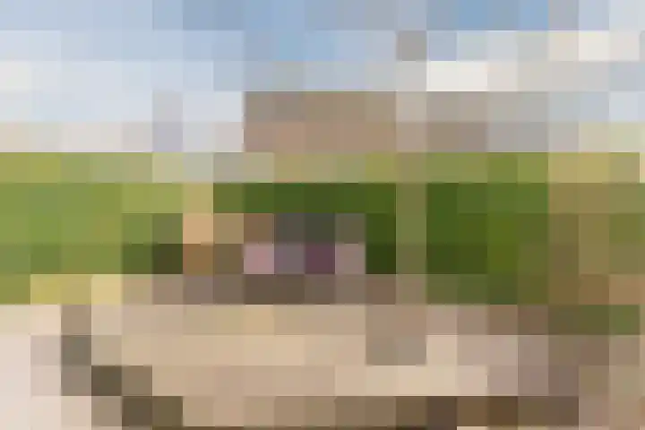 Bertus Aafjeslaan 5 De Meern thumbnail 13