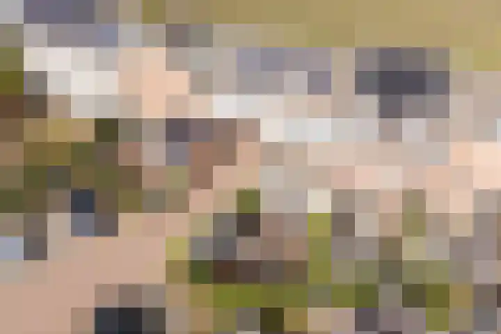 Bertus Aafjeslaan 5 De Meern thumbnail 15