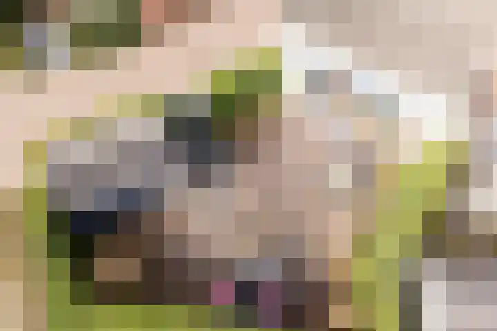 Bertus Aafjeslaan 5 De Meern thumbnail 17