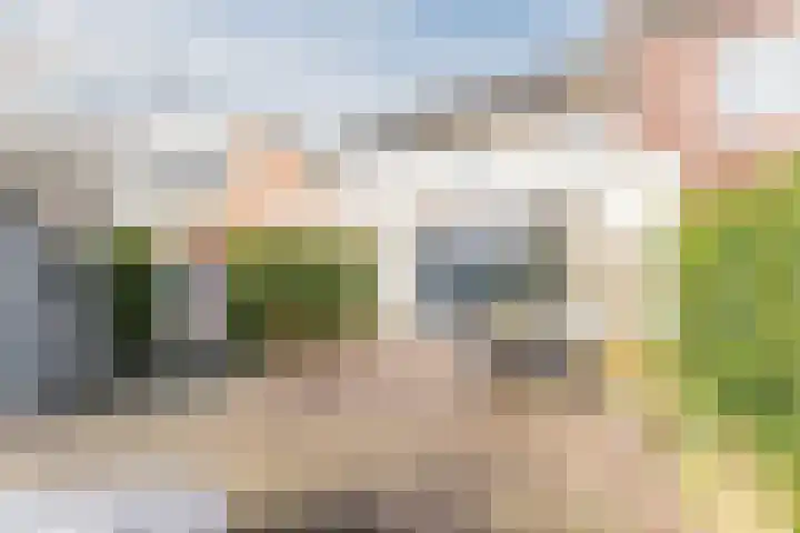 Bertus Aafjeslaan 5 De Meern thumbnail 18