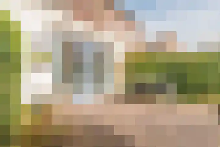 Bertus Aafjeslaan 5 De Meern thumbnail 20