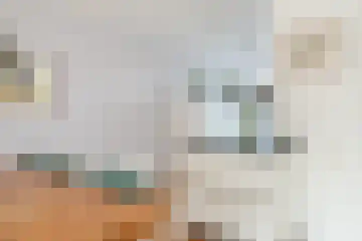 Bertus Aafjeslaan 5 De Meern thumbnail 25