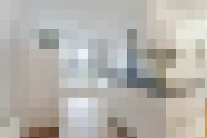 Bertus Aafjeslaan 5 De Meern thumbnail 26