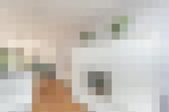Bertus Aafjeslaan 5 De Meern thumbnail 30