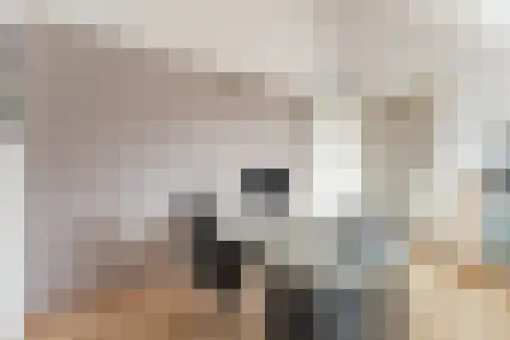 Bertus Aafjeslaan 5 De Meern thumbnail 44