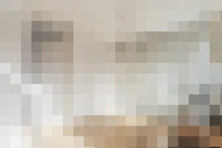 Bertus Aafjeslaan 5 De Meern thumbnail 45