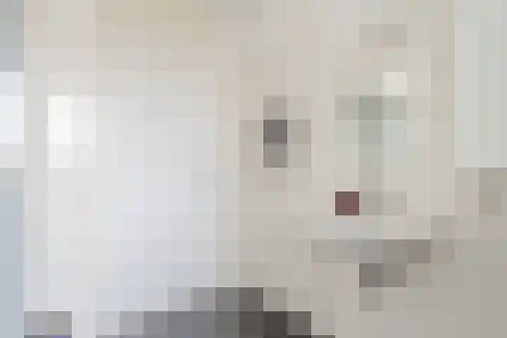Bertus Aafjeslaan 5 De Meern thumbnail 50