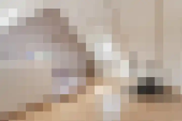 Bertus Aafjeslaan 5 De Meern thumbnail 51