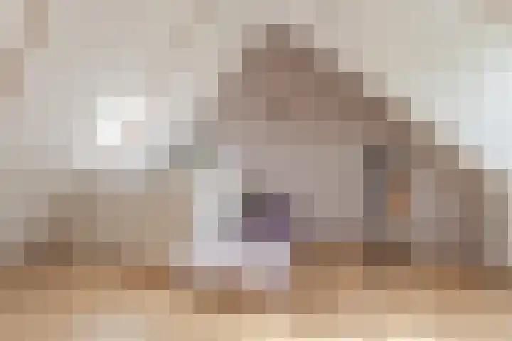 Bertus Aafjeslaan 5 De Meern thumbnail 52