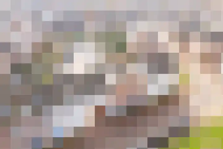 Bertus Aafjeslaan 5 De Meern thumbnail 60