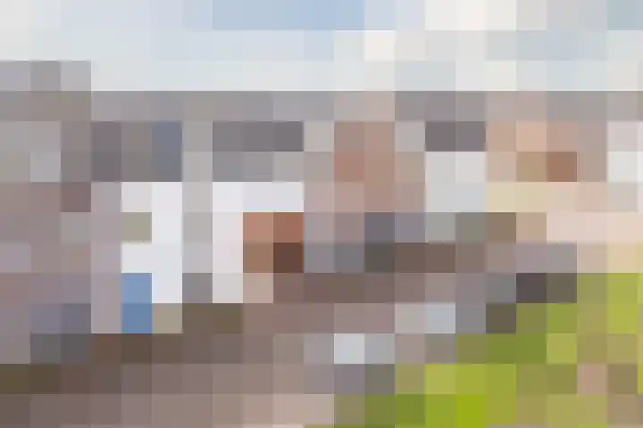Bertus Aafjeslaan 5 De Meern thumbnail 61