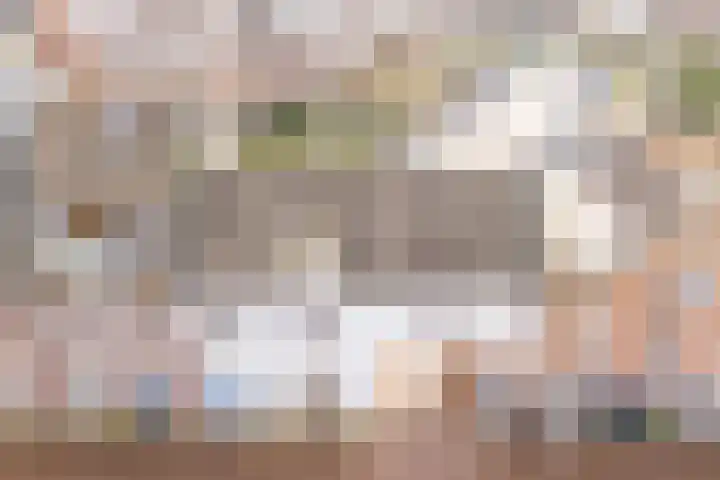 Bertus Aafjeslaan 5 De Meern thumbnail 62