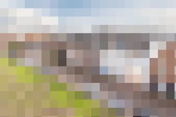 Bertus Aafjeslaan 5 De Meern thumbnail 63