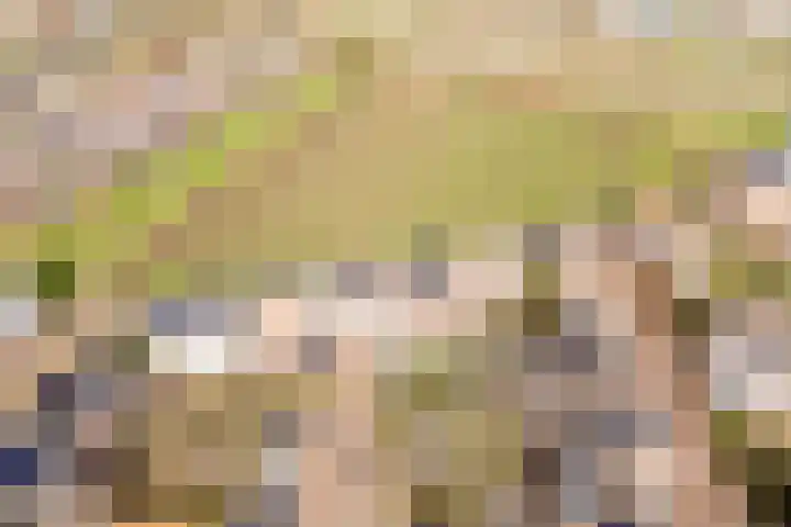 Bertus Aafjeslaan 5 De Meern thumbnail 64