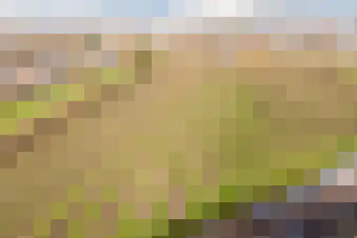 Bertus Aafjeslaan 5 De Meern thumbnail 65