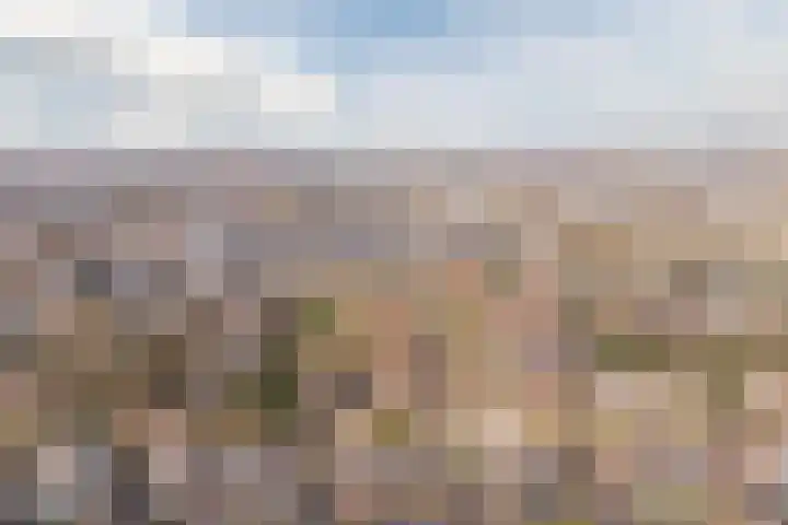 Bertus Aafjeslaan 5 De Meern thumbnail 66