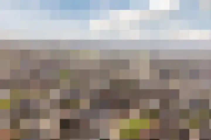 Bertus Aafjeslaan 5 De Meern thumbnail 67