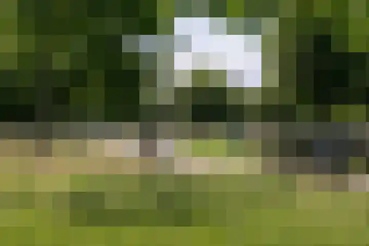 Bertus Aafjeslaan 5 De Meern thumbnail 71