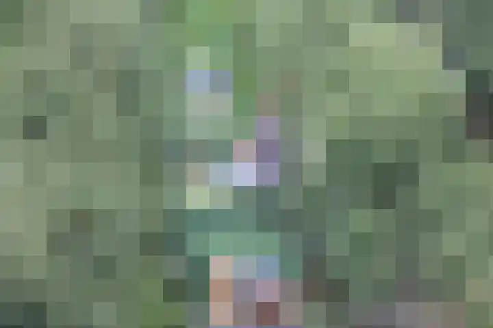 Bertus Aafjeslaan 5 De Meern thumbnail 73