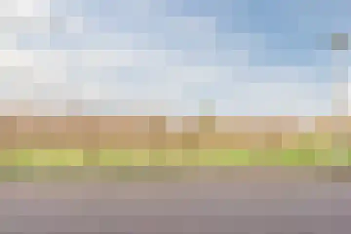 Bertus Aafjeslaan 5 De Meern thumbnail 74