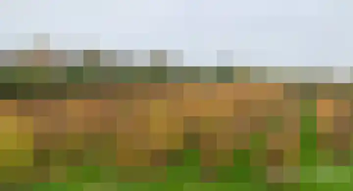 Bertus Aafjeslaan 5 De Meern thumbnail 75