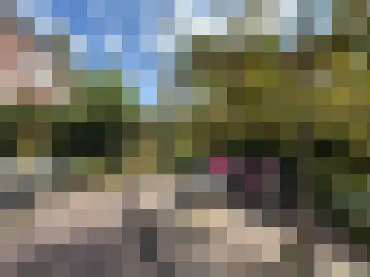 Bertus Aafjeslaan 5 De Meern thumbnail 79