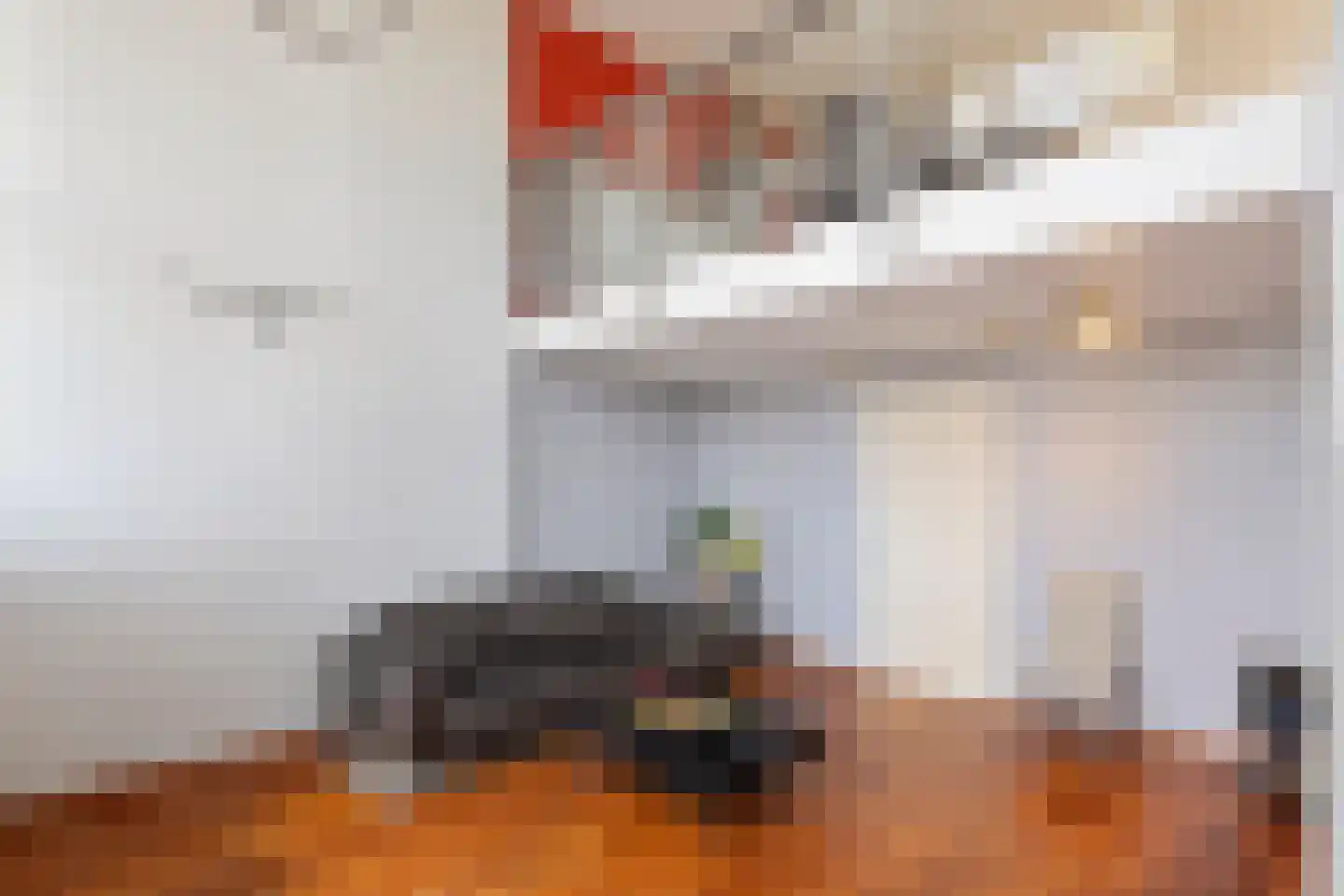 Bertus Aafjesstraat 18 Sittard thumbnail 9