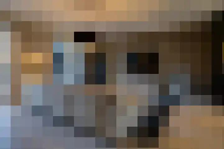 Bertus Aafjesstraat 29 Swolgen thumbnail 10